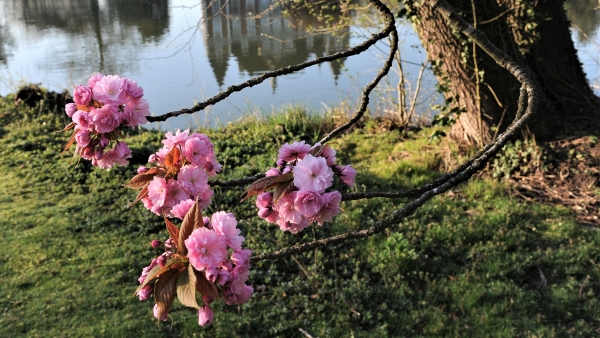 natuur